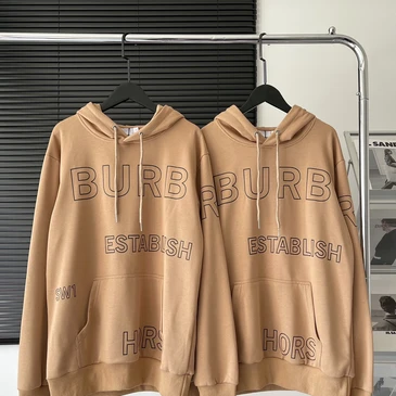 Burberry Fashionable Hoodies #24548