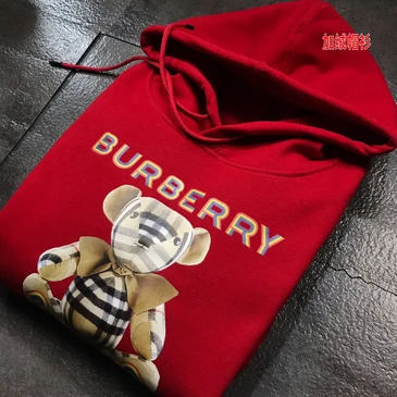 Burberry Unisex Fashionable Hoodies #23868