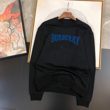 Burberry Fashionable Hoodies #22718