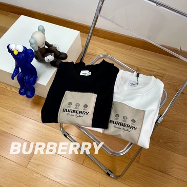 Burberry Unisex Fashionable Hoodies #24631