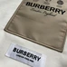 7Burberry Unisex Fashionable Hoodies #24631