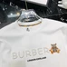 4Burberry Men Fashionable Hoodies #21985