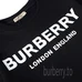 10Burberry Fashion Hoodies #25531