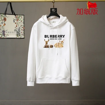 Burberry Fashionable Hoodies #21996