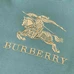 7Burberry Men Fashionable Hoodies #22149