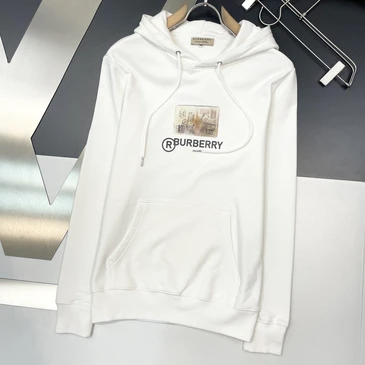 Burberry Fashionable Hoodies #22022