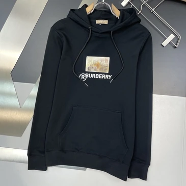 Burberry Fashionable Hoodies #22026