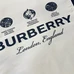 5Burberry Unisex Fashionable Hoodies #24649