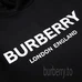 1Burberry Fashion Hoodies #25509