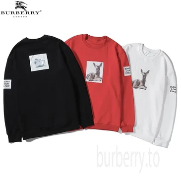 Burberry Fashion Hoodies #25513