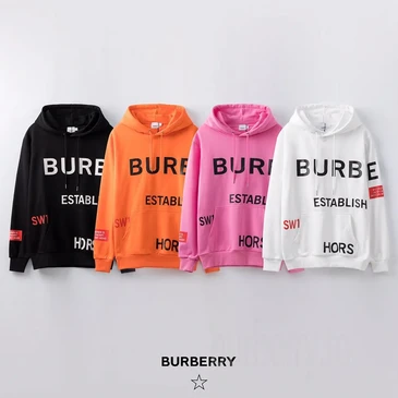 Burberry Unisex Fashion Hoodies #25131