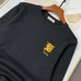 4Burberry Men Fashionable Hoodies #22101