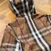 10Burberry Fashionable Jackets #21384