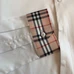 10Burberry Fashionable Shirts #23842