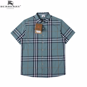 Burberry Men Fashionable Shirts #24198