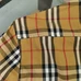 7Burberry Unisex Fashionable Shirts #24203