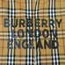 5Burberry Unisex Fashionable Shirts #24208