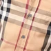 8Burberry Fashionable Shirts #23848