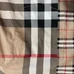 5Burberry Fashion Shirts #25102