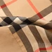 6Burberry Fashion Shirts #25108