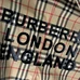 6Burberry Men Fashionable Shirts #22109