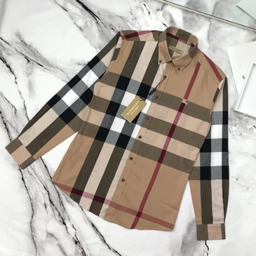 Burberry Fashionable Shirts #22955