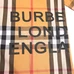 6Burberry Unisex Fashionable Shirts #24420