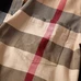 7Burberry Fashionable Shirts #23844