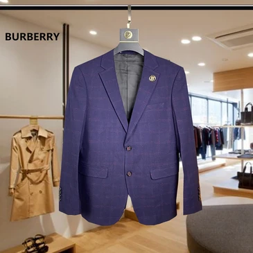 Burberry Men Fashionable Suits #21492