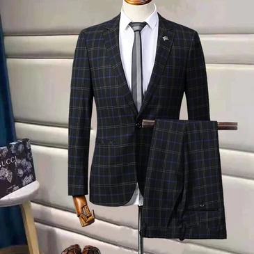 Burberry Men Fashionable Suits #21039