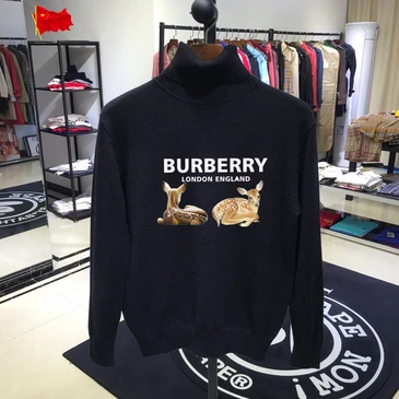 Burberry Fashionable Sweaters #22074