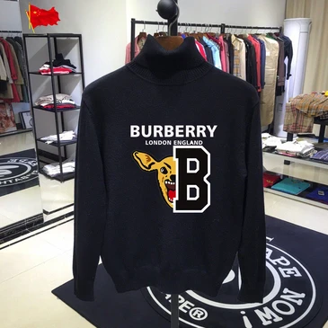 Burberry Fashionable Sweaters #22080