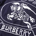 5Burberry Unisex Fashionable Sweaters #22987