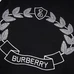 6Burberry Unisex Fashionable Sweaters #23205