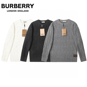 Burberry Fashionable Sweaters #22425