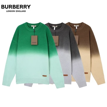 Burberry Men Fashionable Sweaters #22457