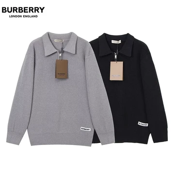 Burberry Men Fashionable Sweaters #22450