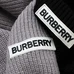 6Burberry Men Fashionable Sweaters #22450