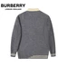 5Burberry Unisex Fashionable Sweaters #22153