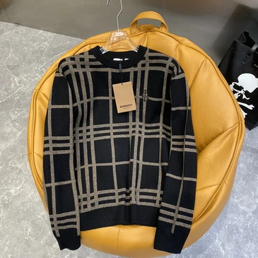 Burberry Fashionable Sweaters #21504