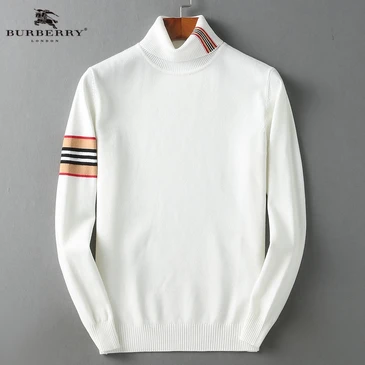 Burberry Fashionable Sweaters #22152