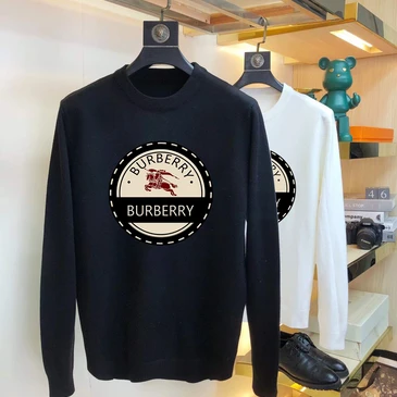 Burberry Fashionable Sweaters #21992