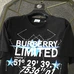 5Burberry Fashionable T-Shirts #24329