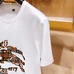 6Burberry Fashionable T-Shirts #22748