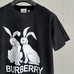 7Burberry Unisex Fashionable T-Shirts #25300