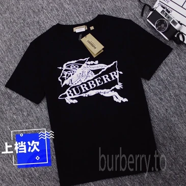 Burberry Fashion T-shirts #25625