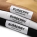 6Burberry Fashionable T-Shirts #24529