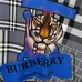 7Burberry Fashionable T-Shirts #21917