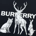 7Burberry Unisex Fashionable T-Shirts #24286