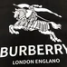 9Burberry Unisex Fashionable T-Shirts #25285